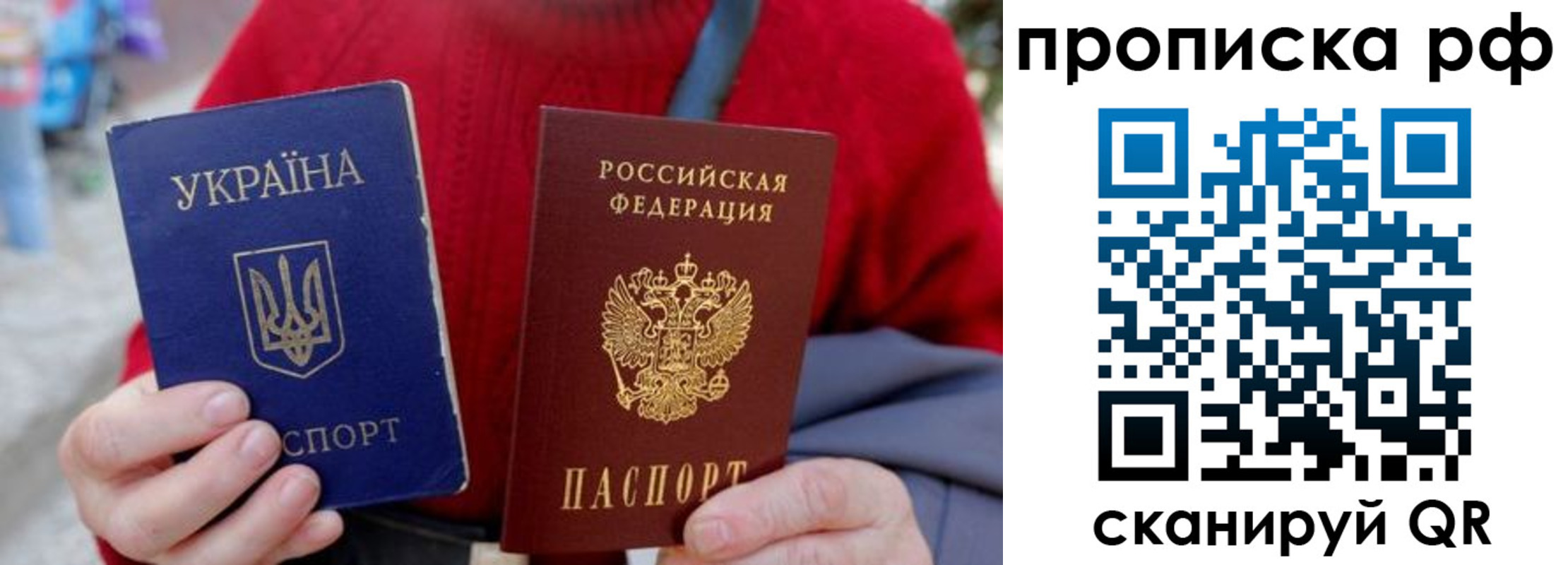 где прописаться в Кольчугино